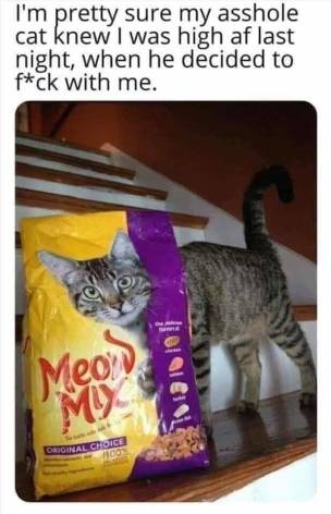 cat food